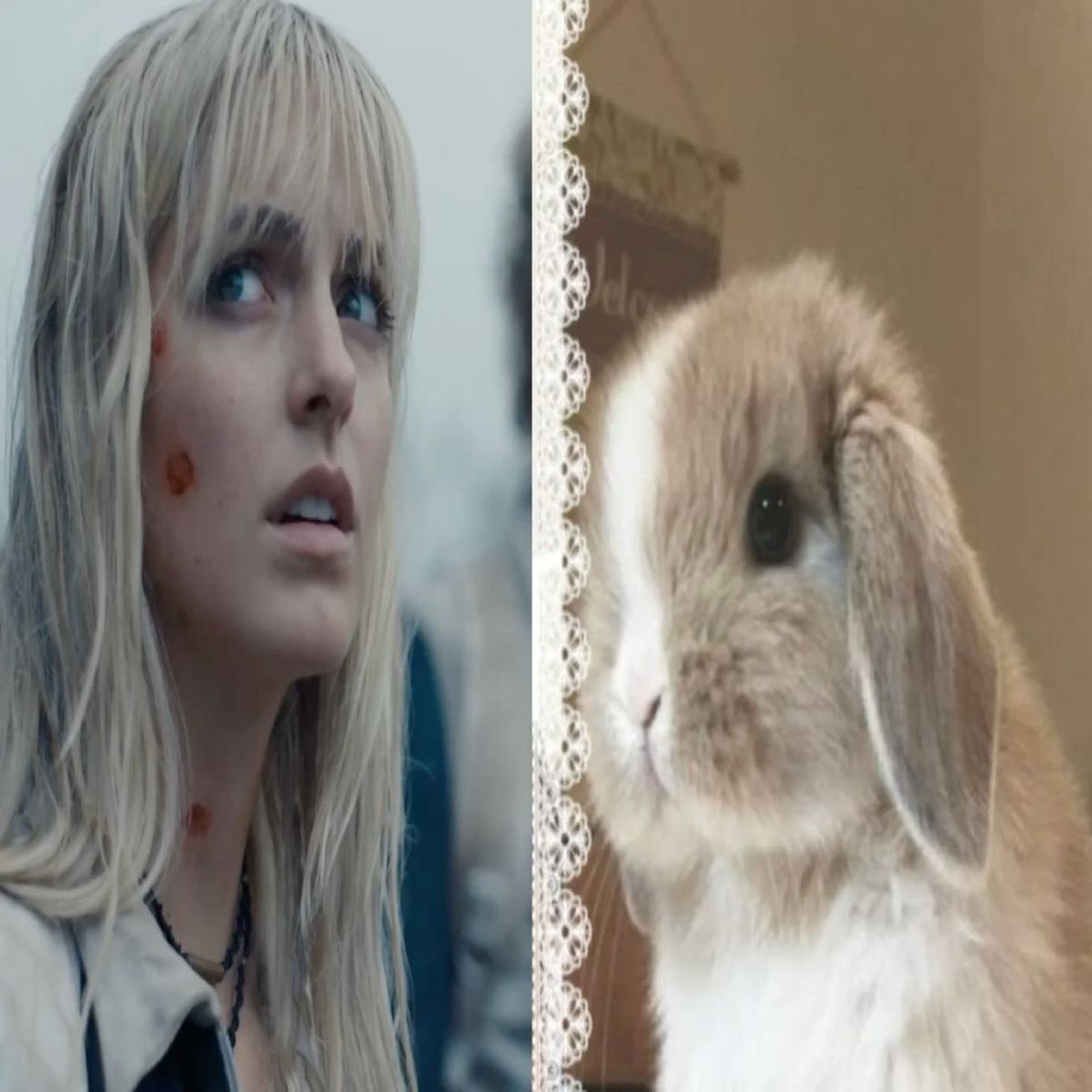 em ⊹ ࣪ ˖ tweet media