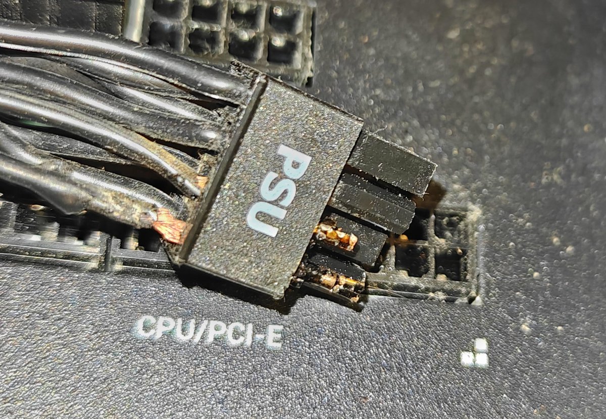 Alex CofPow🌳 tweet media