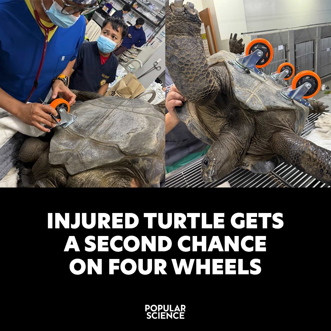 Popular Science tweet media