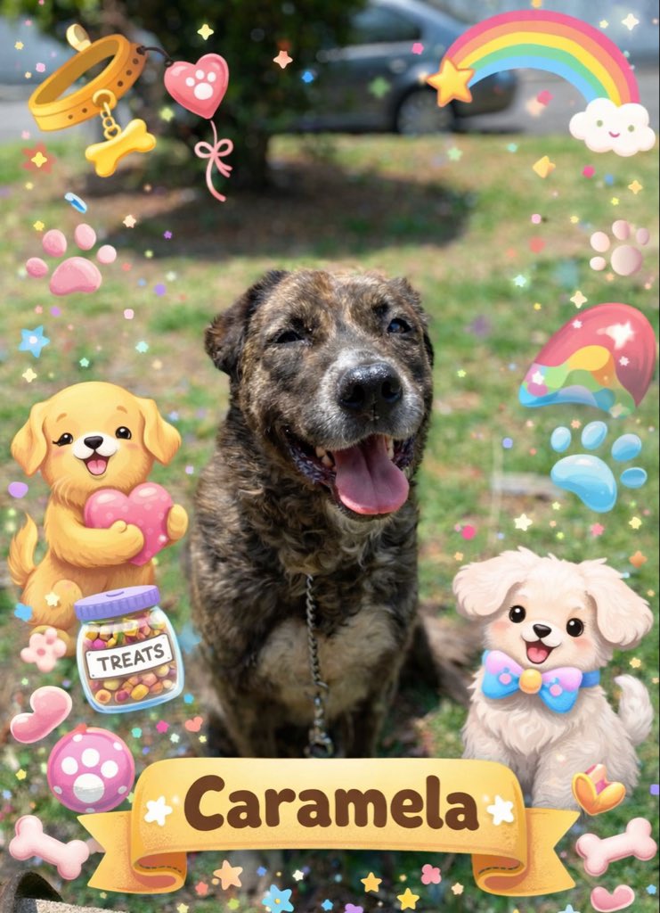 𝙷𝚎𝚕𝚊 𝙼𝚘𝚛𝚎 🐶 tweet media