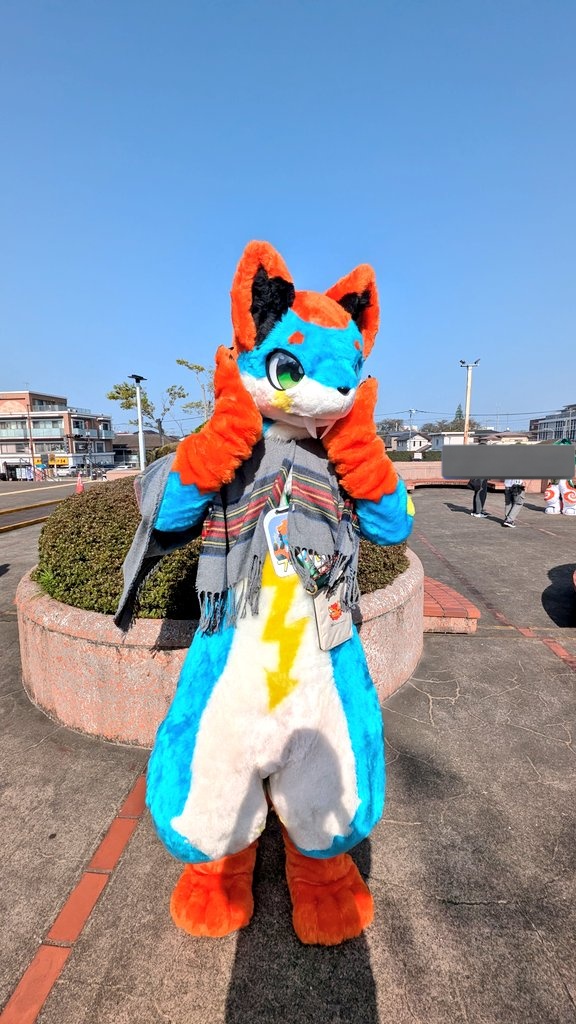 ハスキー tweet media