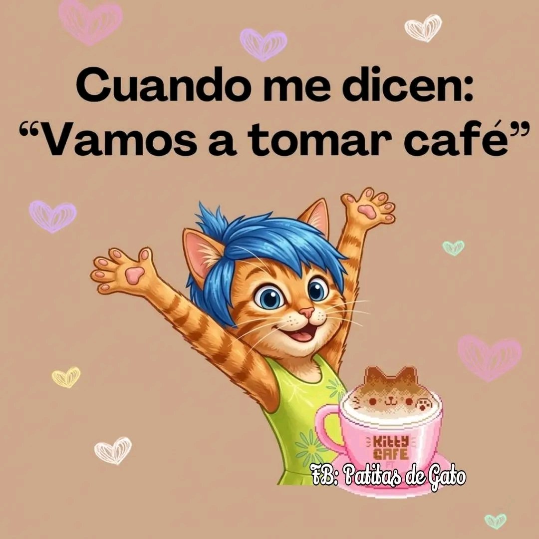 Tio Felino (Leo) tweet media