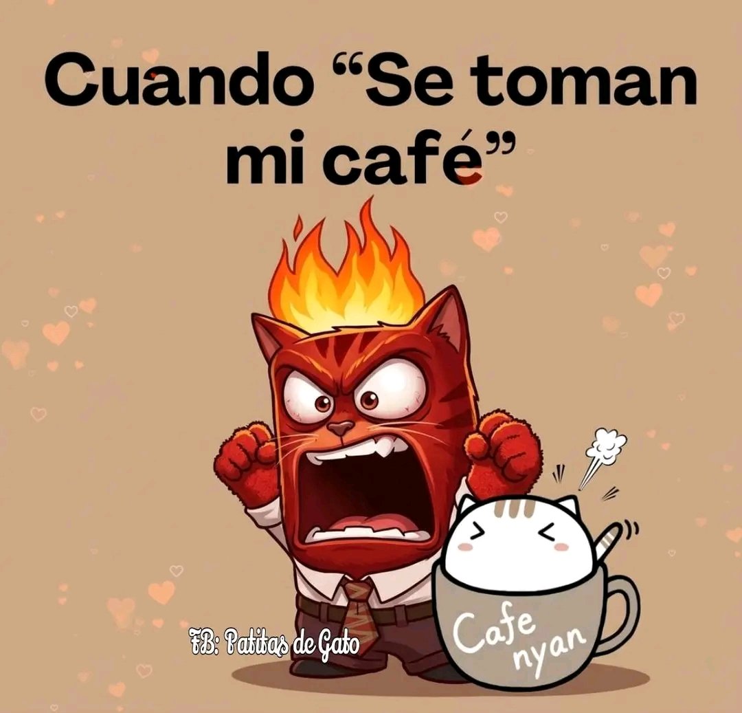 Tio Felino (Leo) tweet media