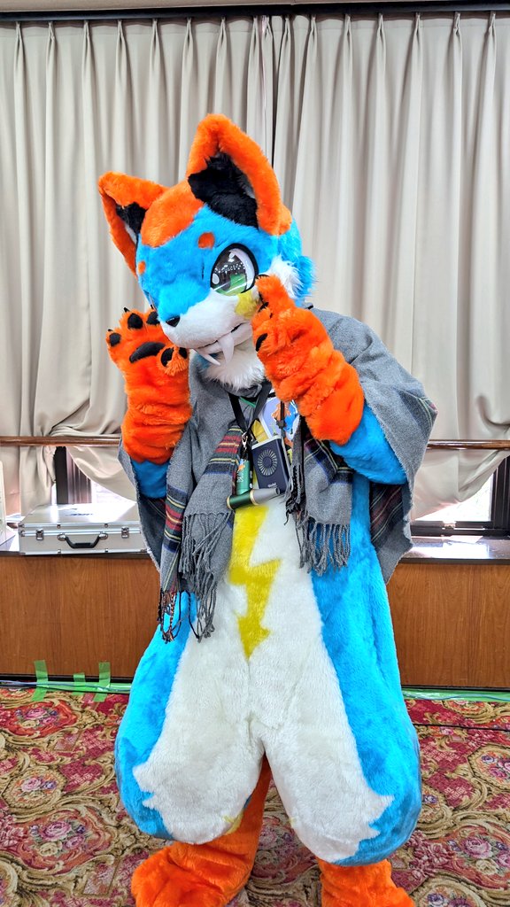 ハスキー tweet media