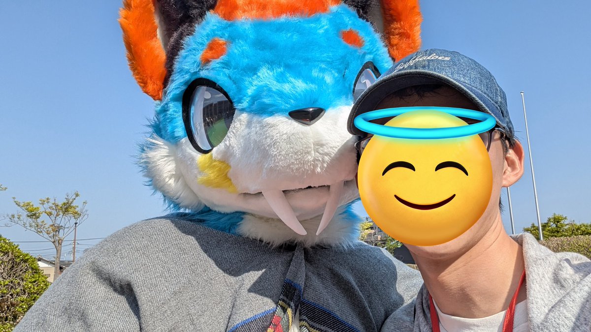 ハスキー tweet media