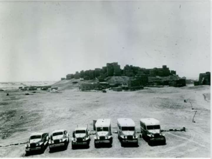 Past Pulse tweet media