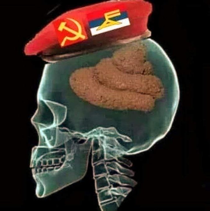 Melitta Meneghel tweet media