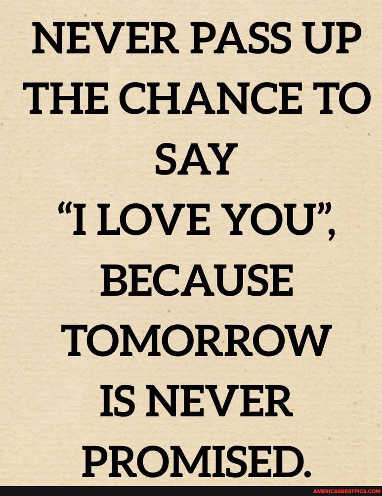 jeffreysdeitric's tweet image. #never #pass #chance 
americasbestpics.com/picture/6uep2b…
#AmericasBestPicsAndVideos