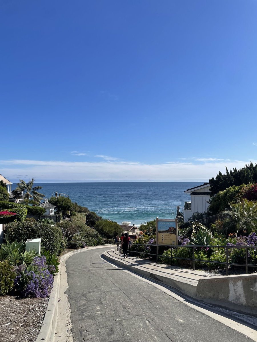 Wander Aesthetic tweet media