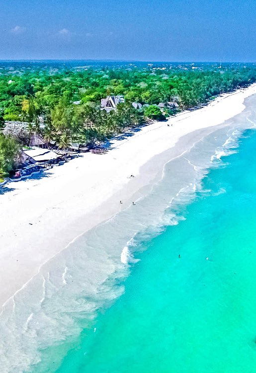 NEFERTITI tweet media