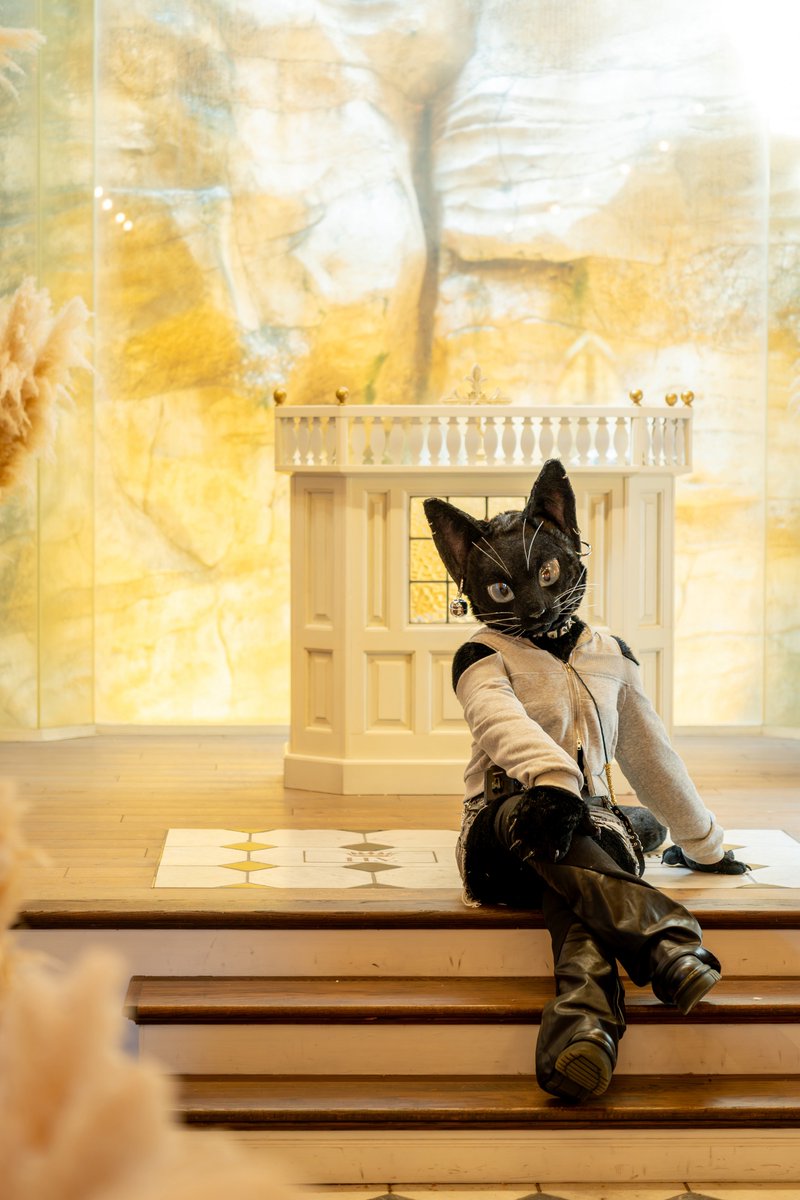 ネヴィ/Nevy tweet media