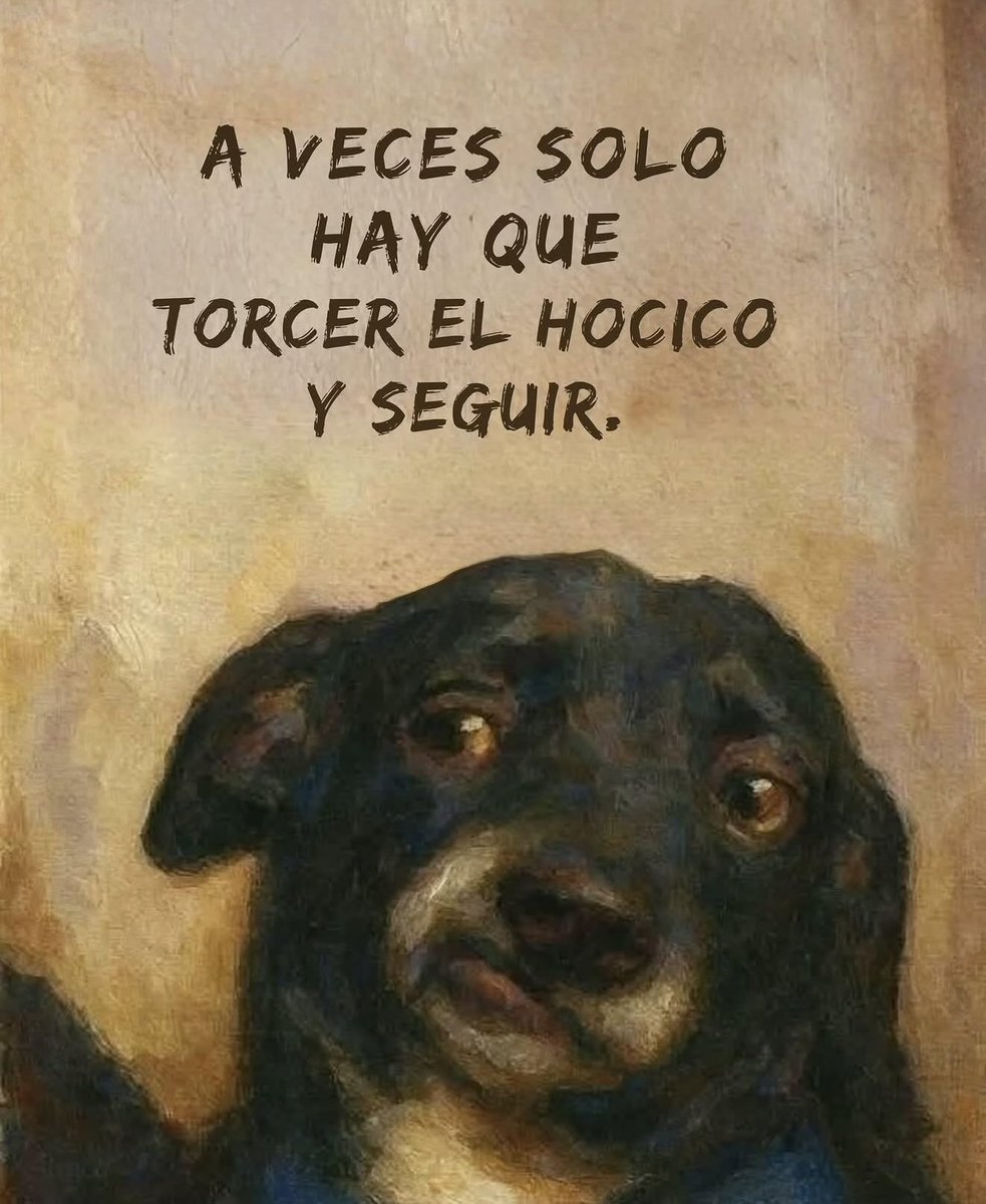 Dilo con perritos tweet media