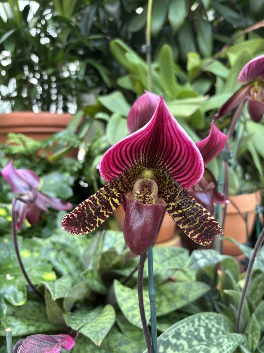 Lipstick & Heels tweet media