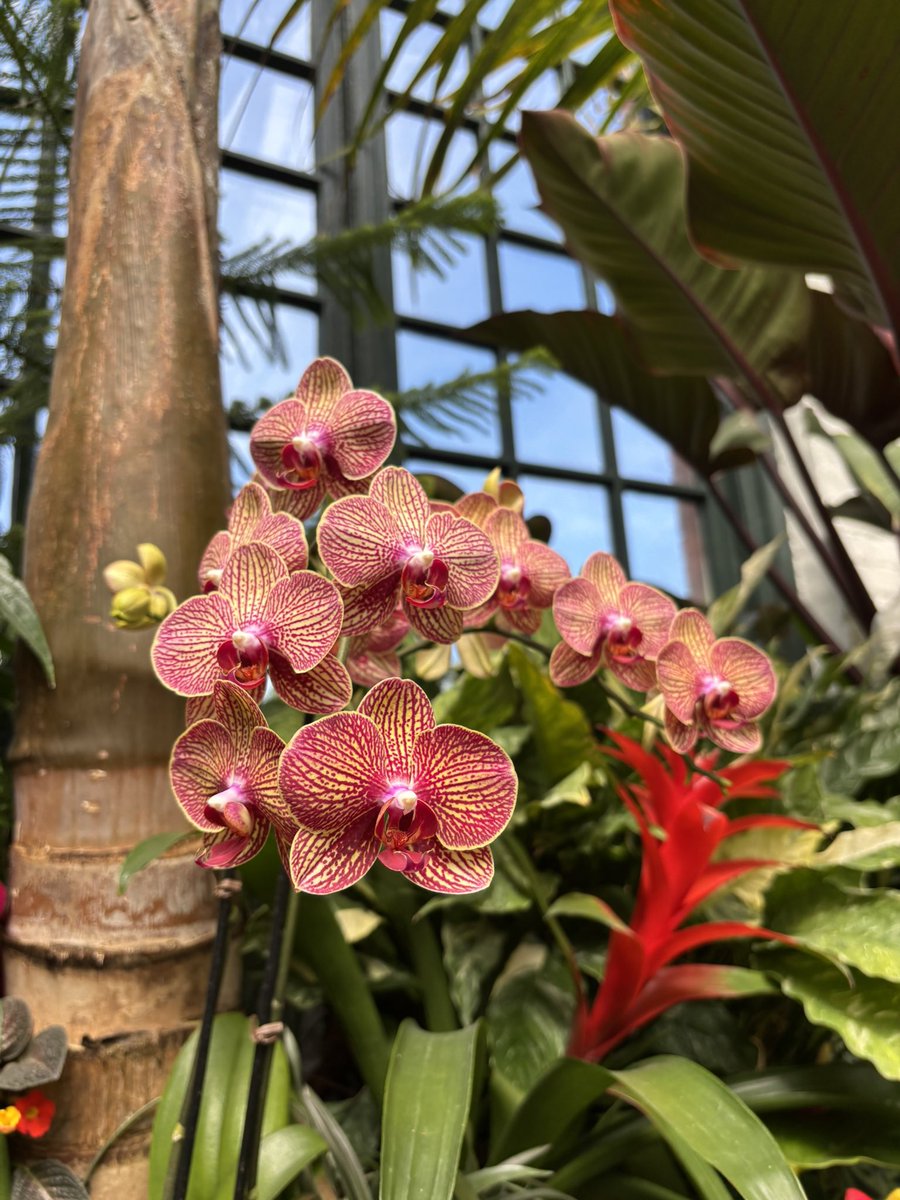 Lipstick & Heels tweet media