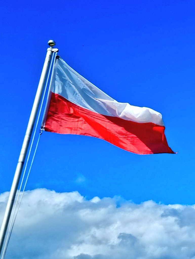 The Memorial Mob 🇬🇧 tweet media