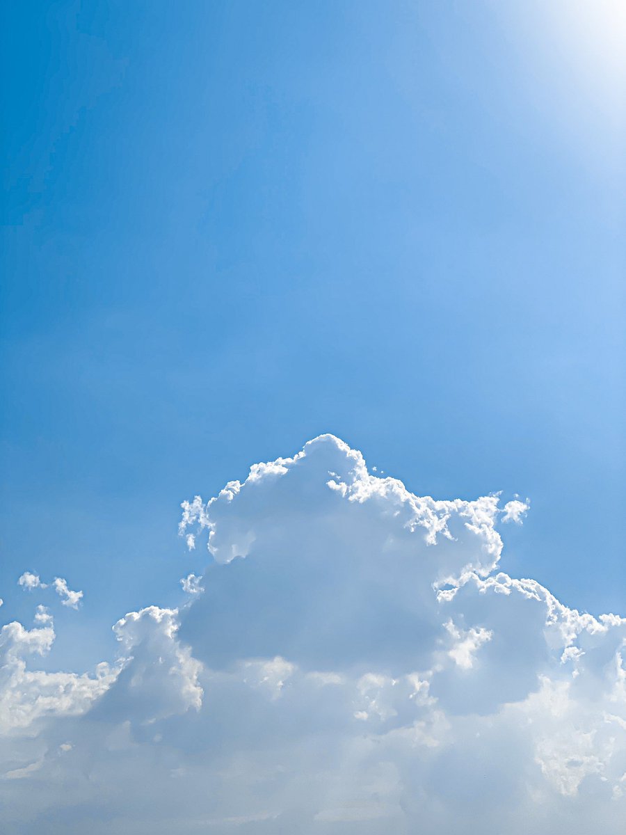 محمَّد tweet media