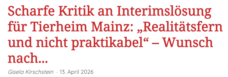 Hat doch länger gedauert – sind aber nur gezielt "recherchierte", aus Facebook abgeschriebene Negativ-Kommentare (weil zuständig: Steinkrüger)
#gisidoinggisithings  #MainzSchund