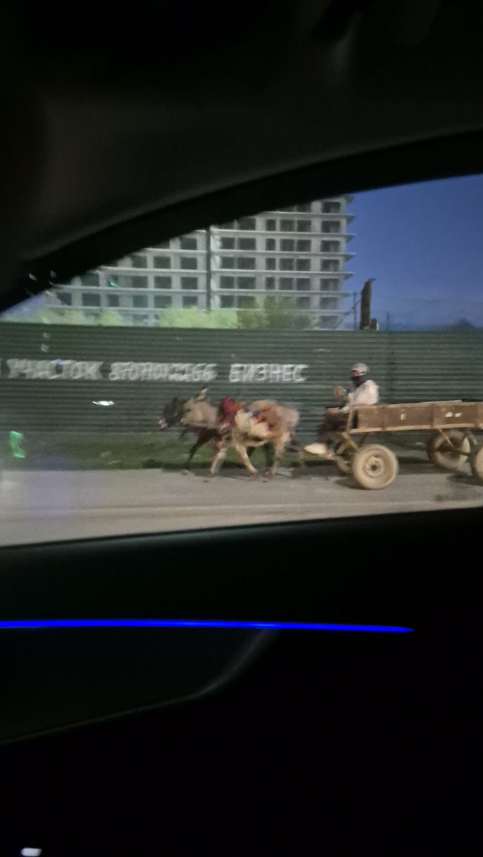 А вот вы говорите зачем в правилах ПДД гужевая повозка... меня ослик подрезал!