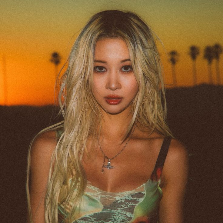 NPOMV | Zine tweet media