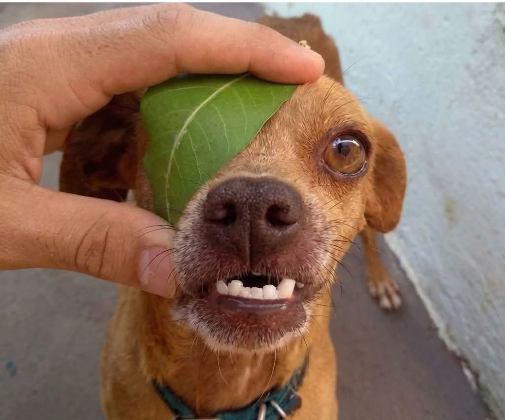 sherrypherB's tweet image. How I close my eye before spending my last card. #if..i..perish..i..perish😅