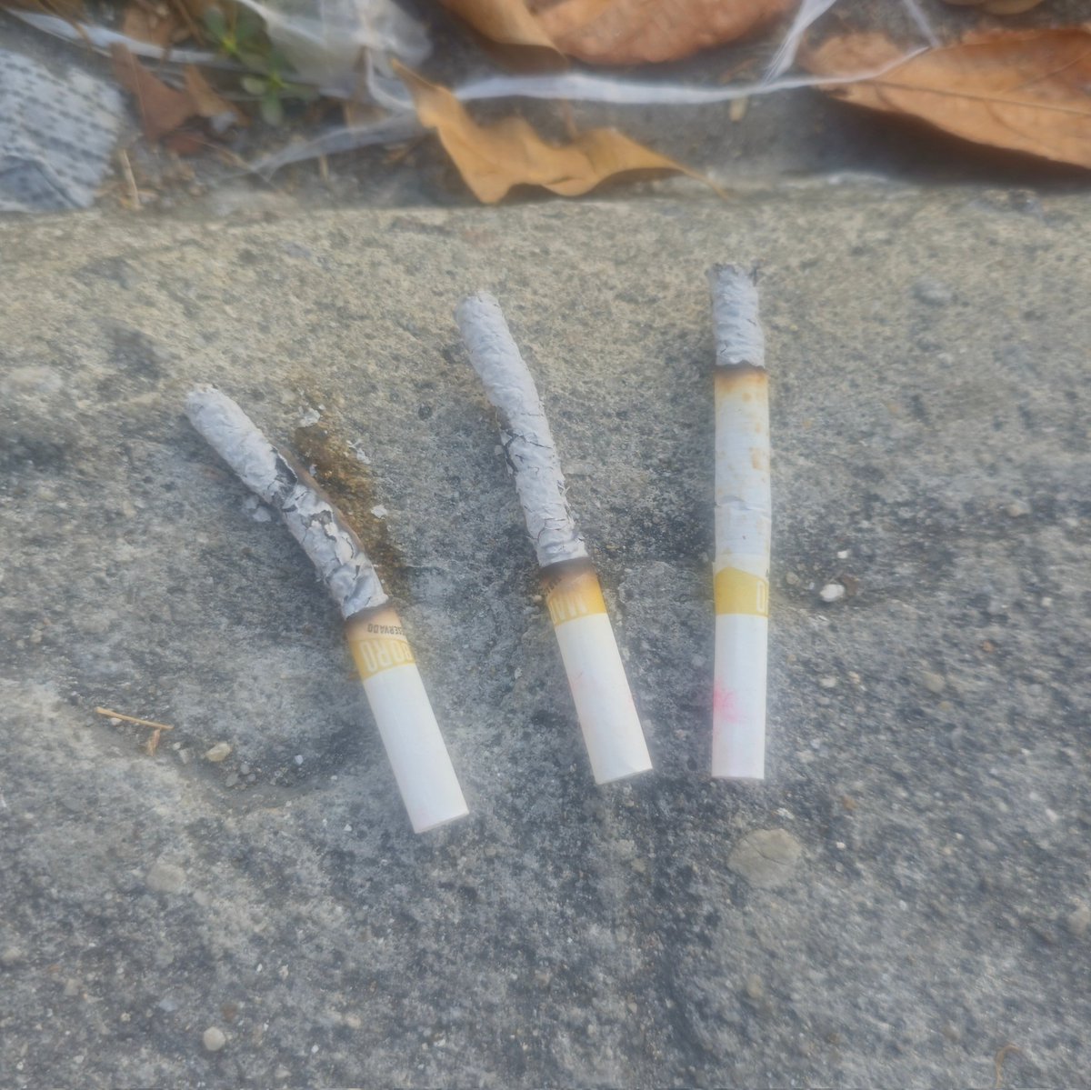drayareturn's tweet photo. esses 3 cigarros que estavam no ponto de ônibus hoje https://t.co/ZTppHFNb1s