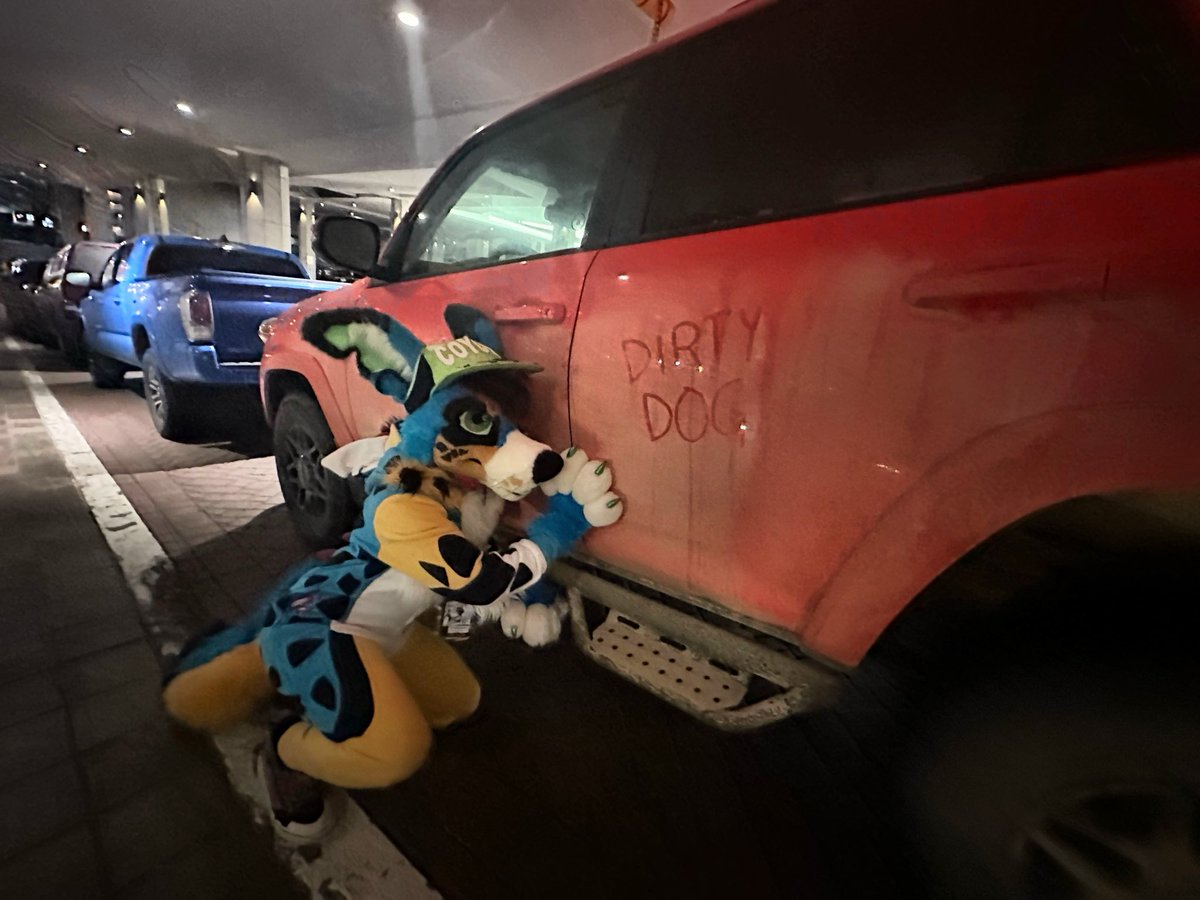 RhapsodyBarks tweet media