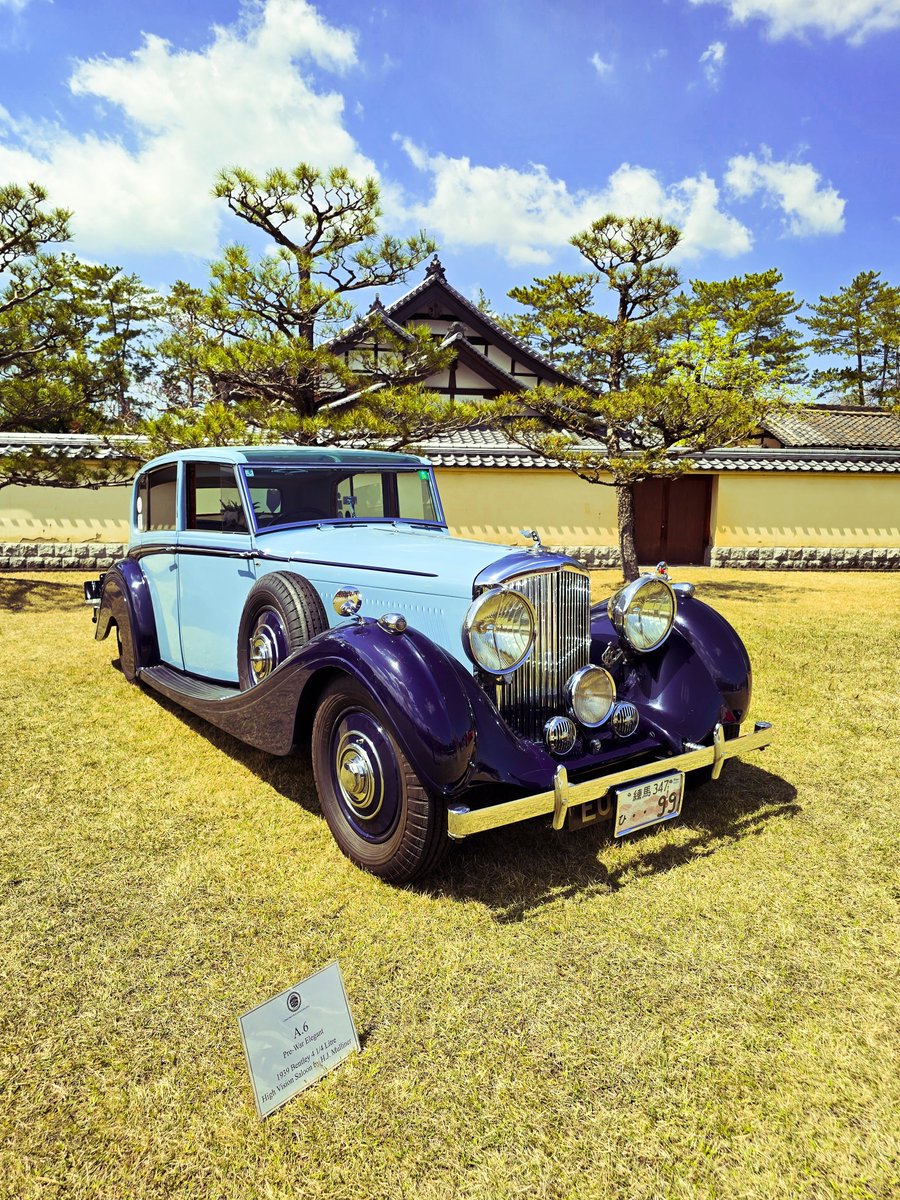 Angelfish tweet media