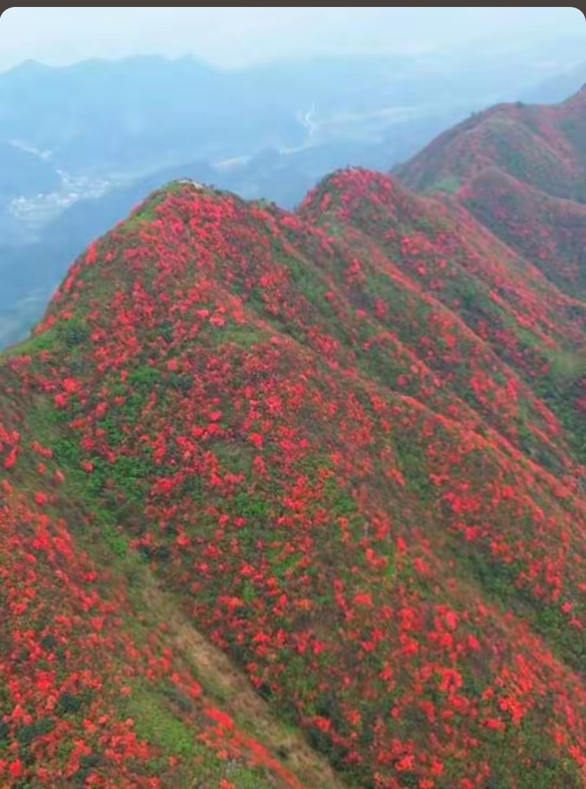 偷得富盛半日闲 tweet media