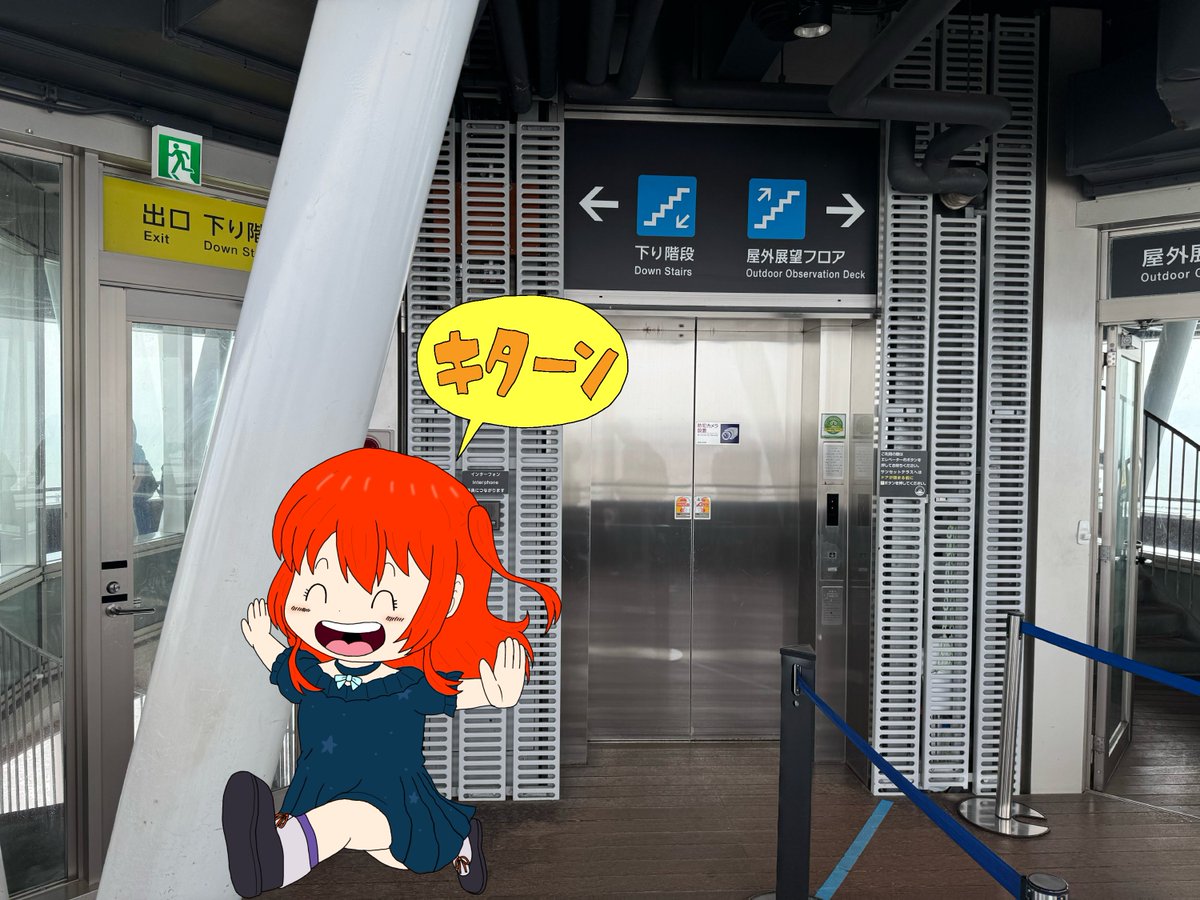 実写のたこせんべい tweet media