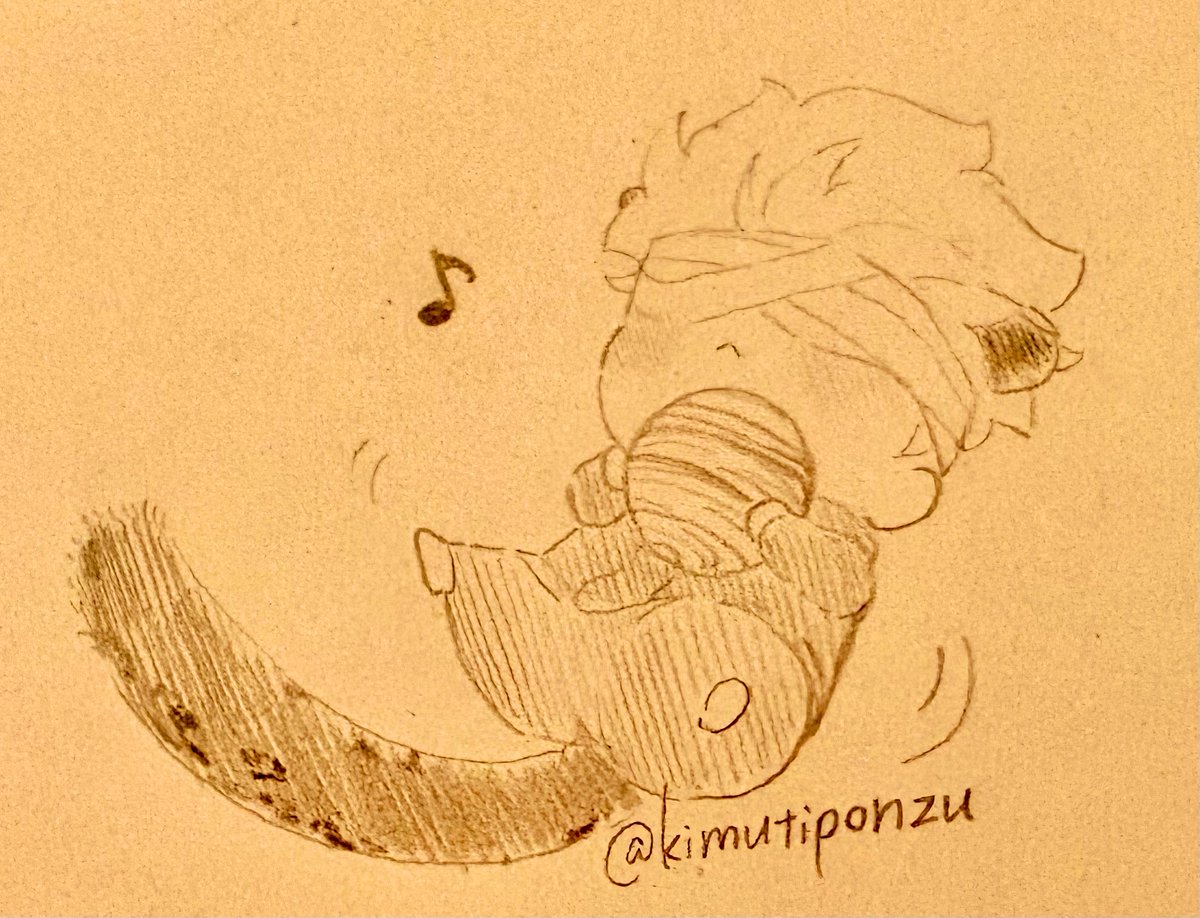 こーめぃ tweet media