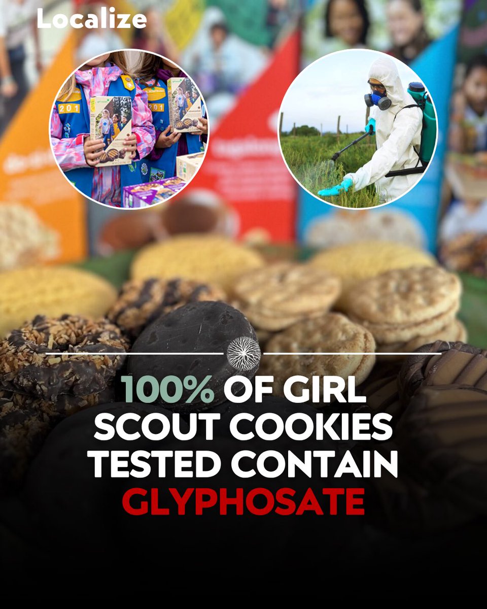 Localize - Farmers Market tweet media