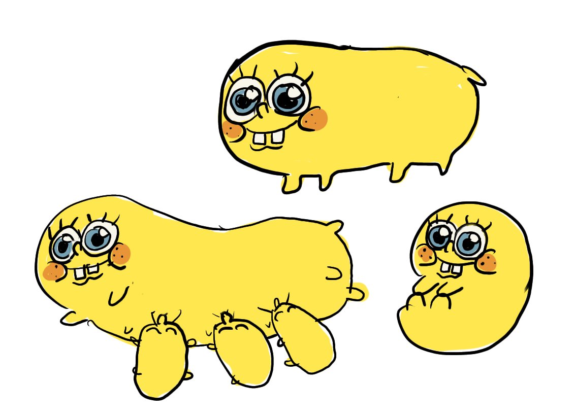 tortoisequeef tweet media