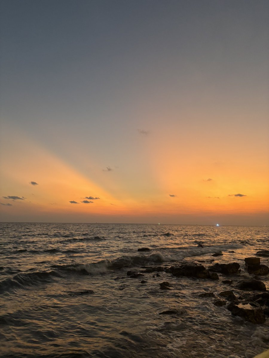 🍑🐸🦌🥫専業配達員🛵💨🐥 tweet media