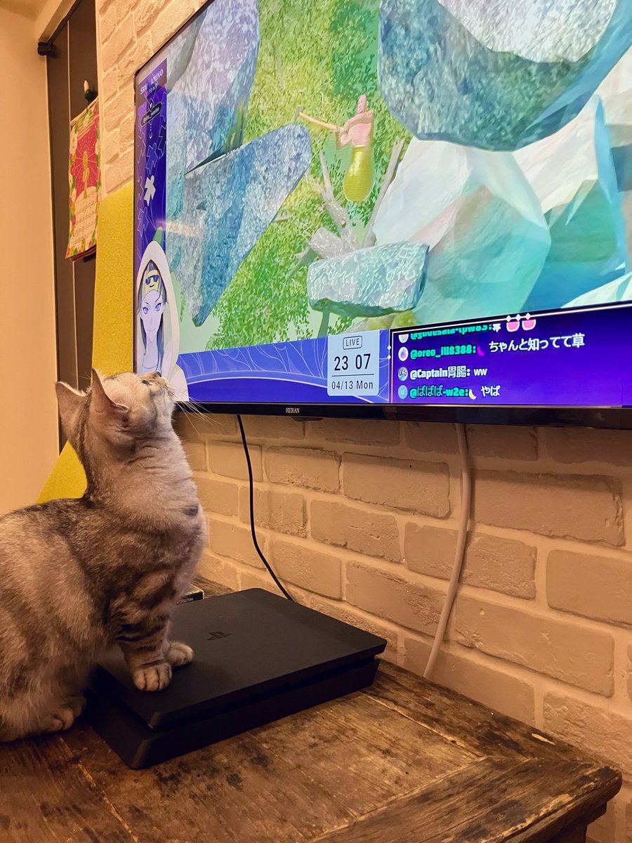 Bucket F🕳 tweet media