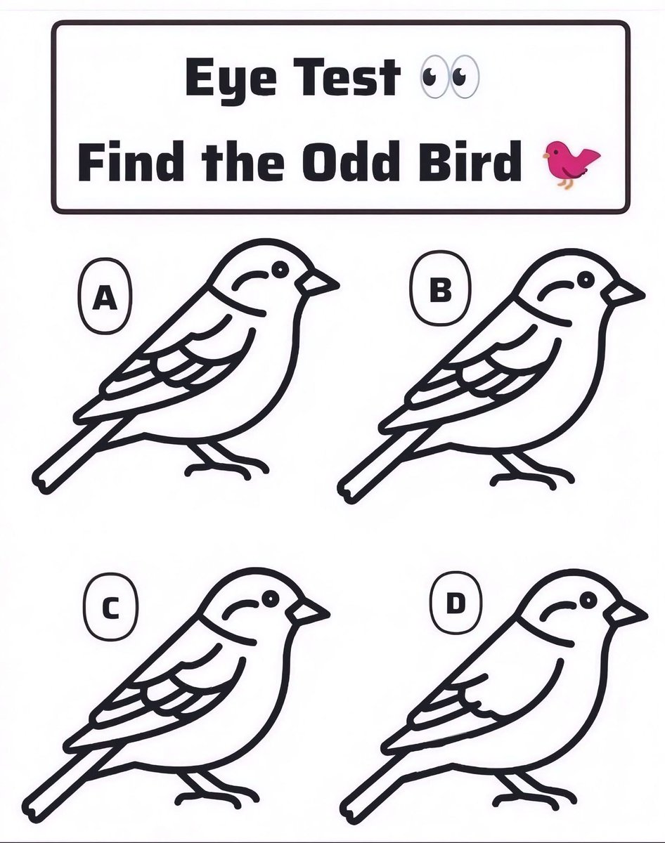 𝚂𝚞𝚏𝚒𝚊 𝚂𝚑𝚊𝚑🍁 tweet media