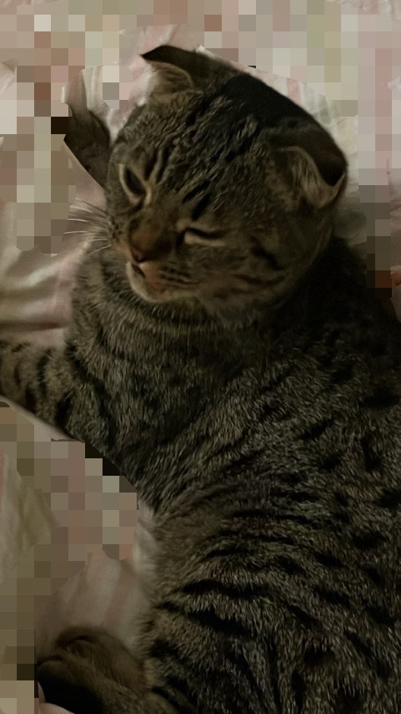 Somthing tweet media