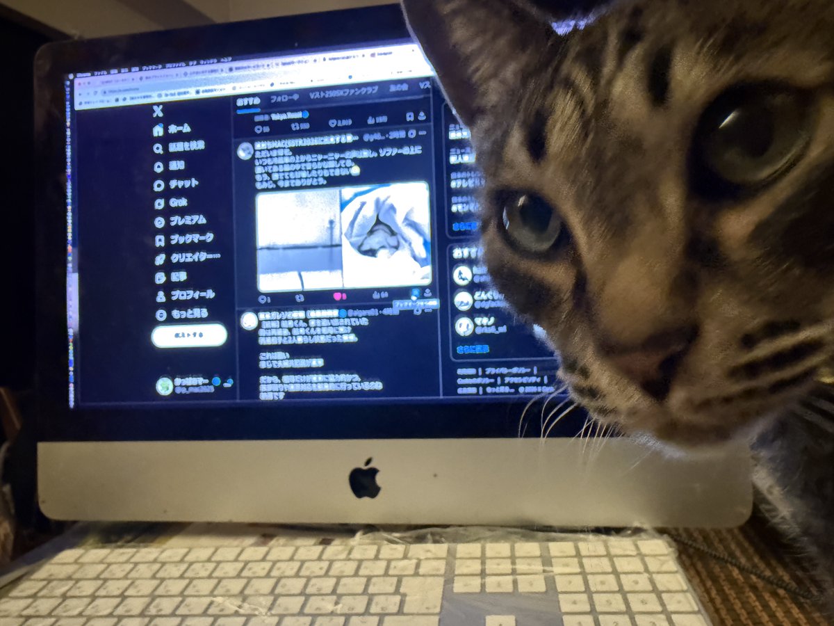 かっぱのマック @ip_mac2025 (Vスト250SXとSV650乗り) tweet media