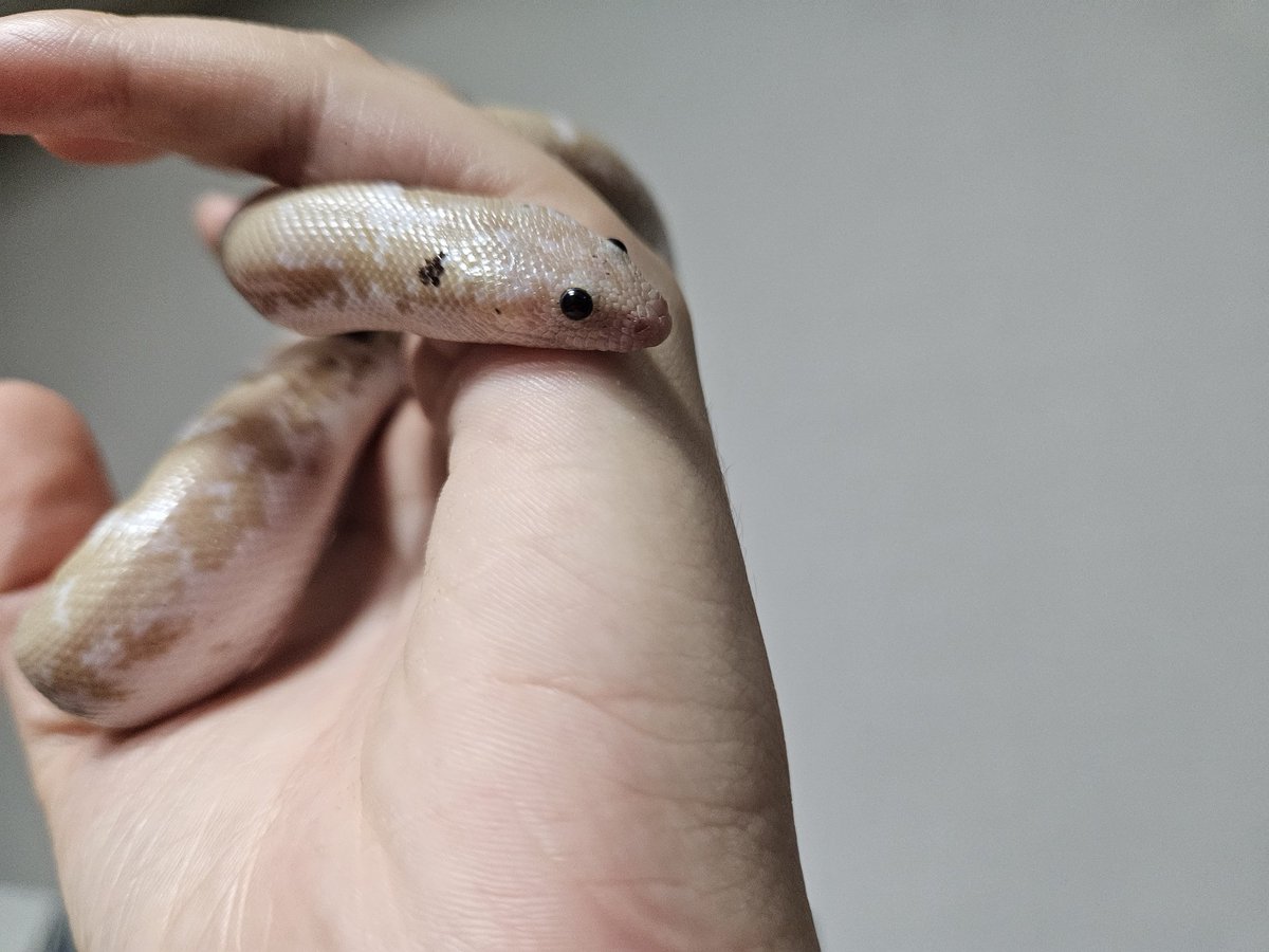 26°C🍒 tweet media