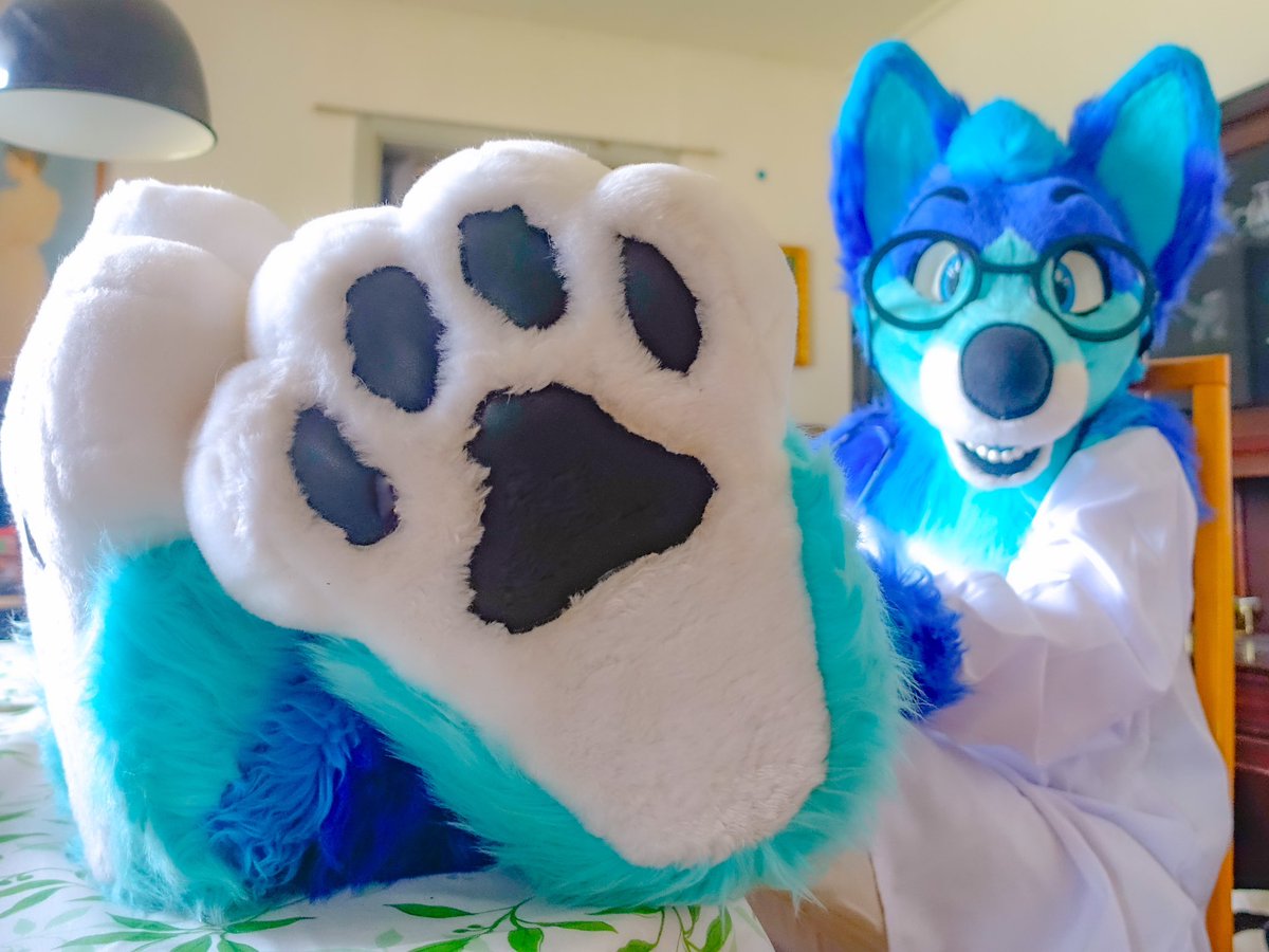 Terry_Husky tweet media