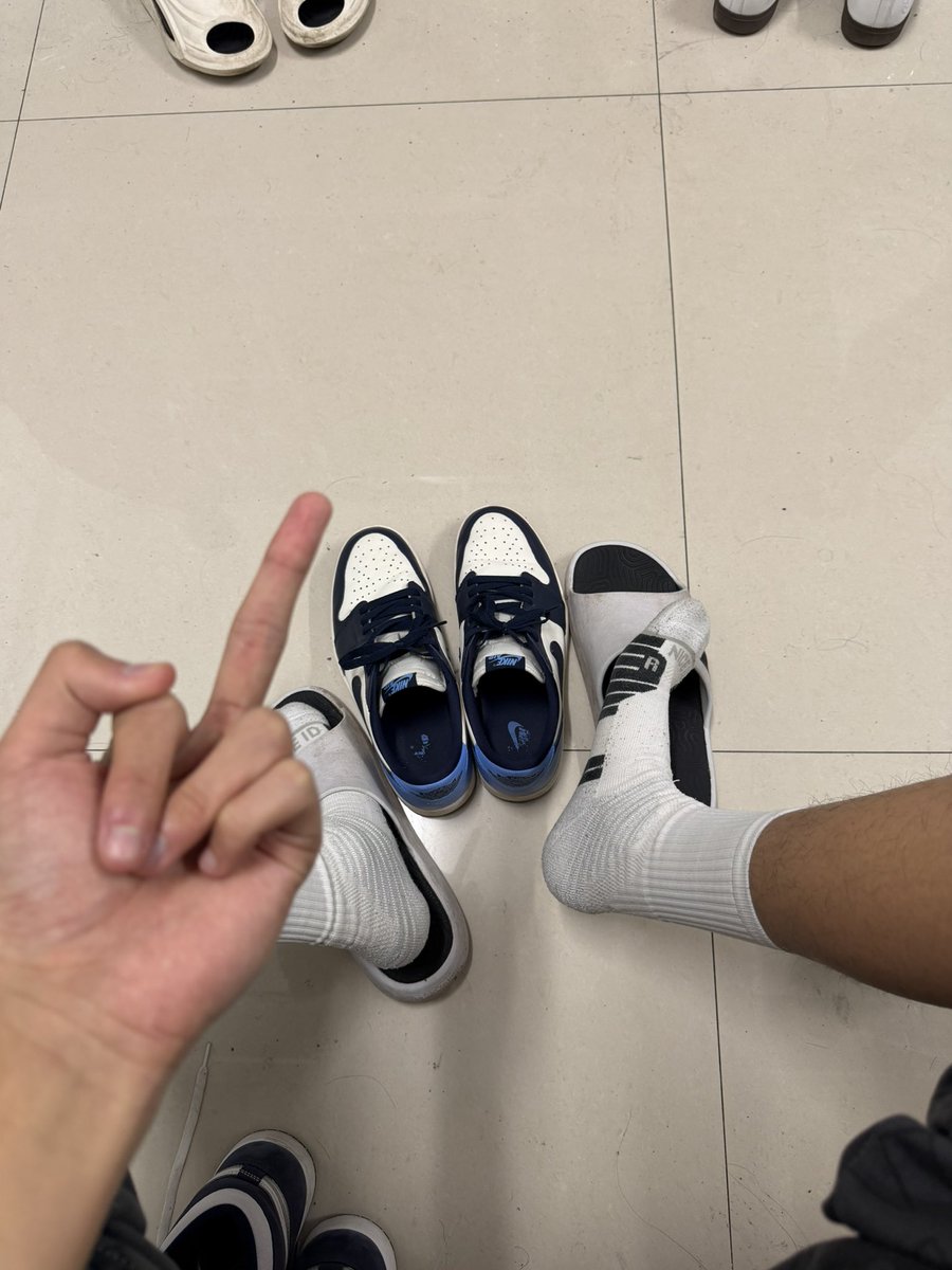 大猫少爷 tweet media