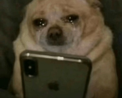 MARLEYLILLY tweet media