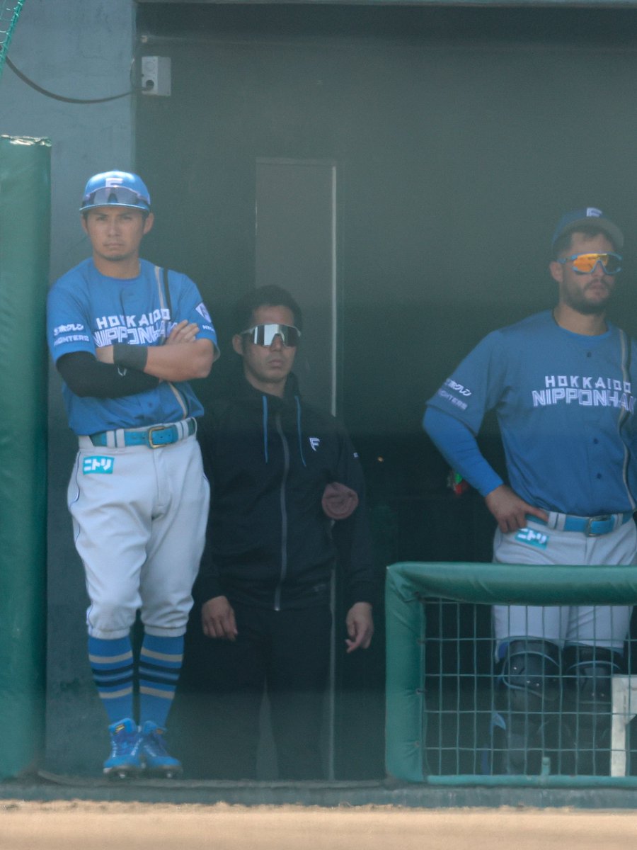 うめ🌱 tweet media