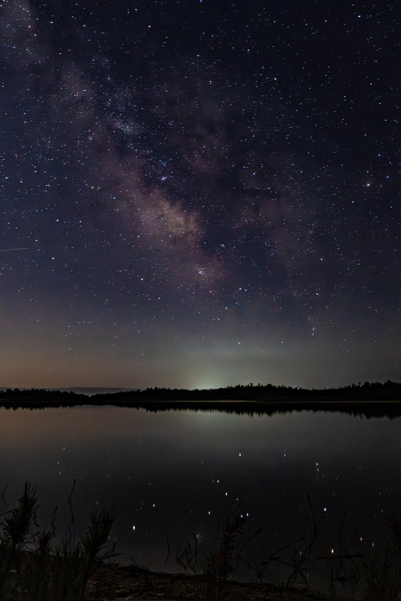 occasional_dreamer tweet media