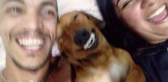 빅만서 tweet media