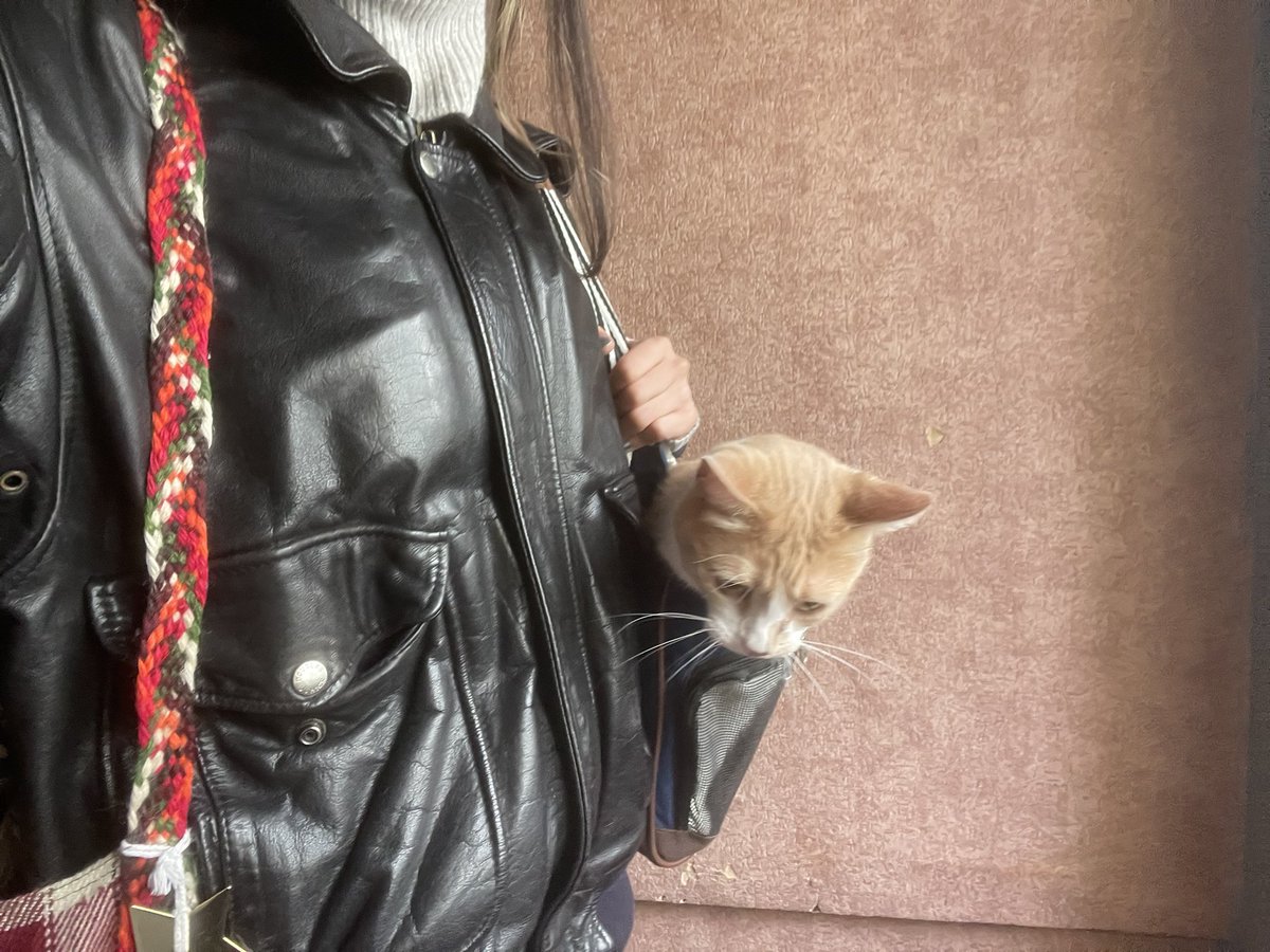 uma🌱🪷🧃👒🍒 tweet media