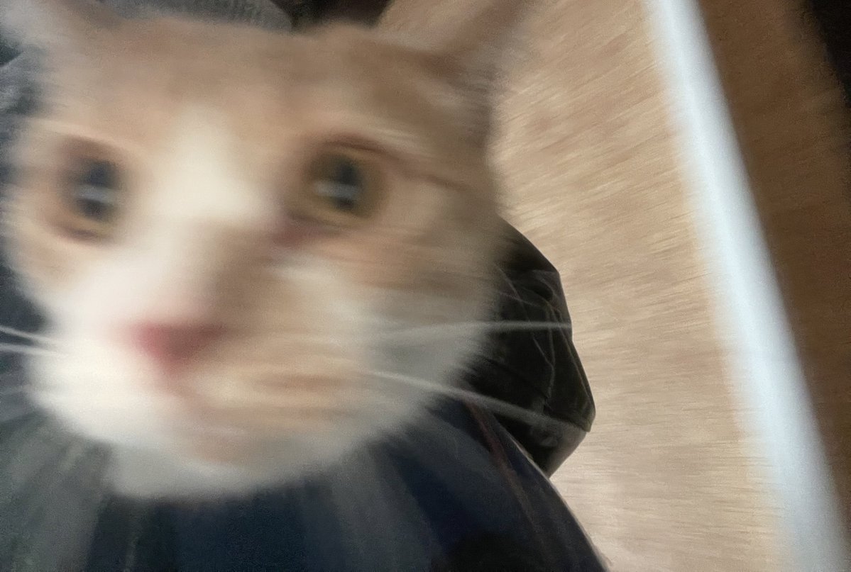 uma🌱🪷🧃👒🍒 tweet media