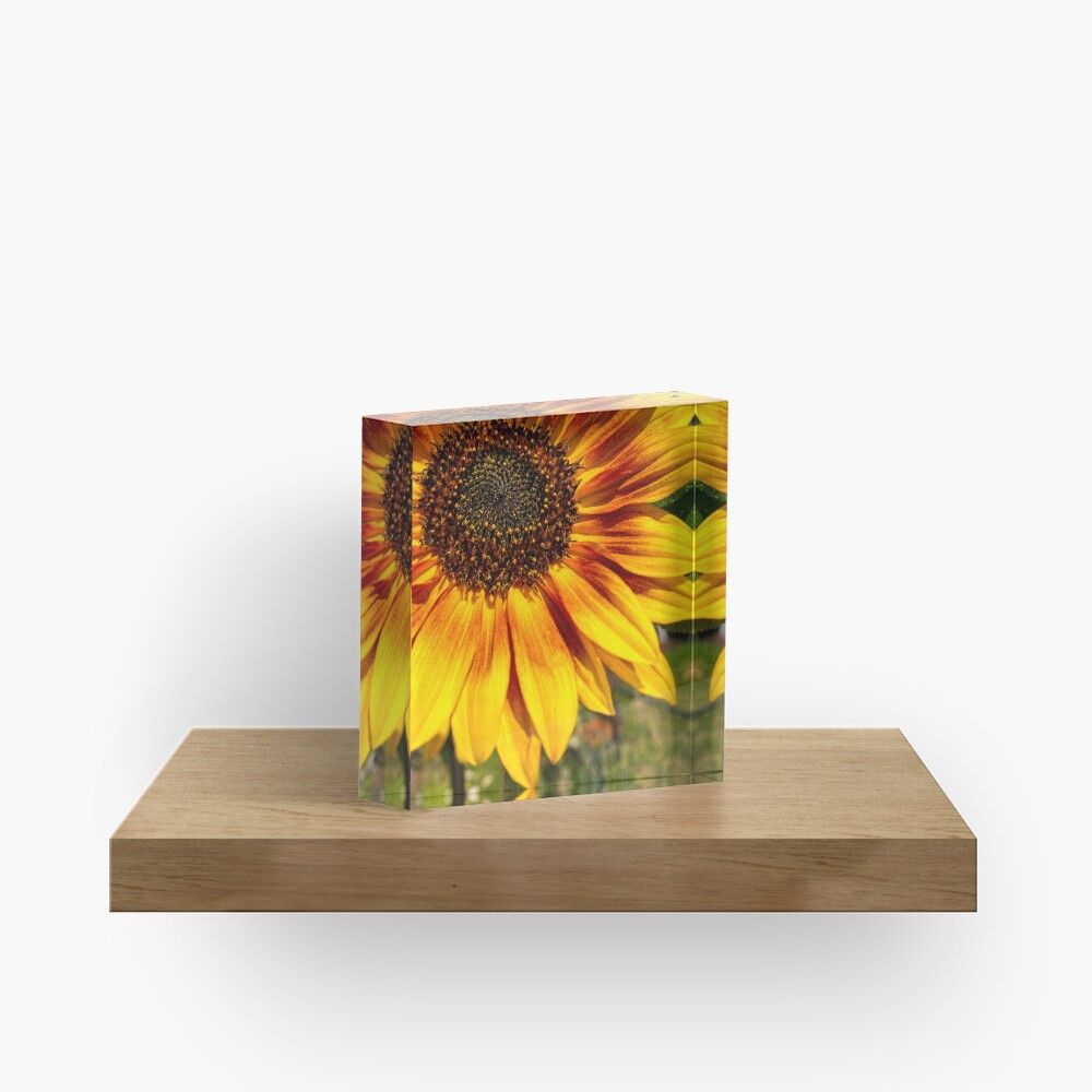 DebraMartz's tweet image. Sunflower Beauty Shower Curtain and more

#RBandME:  redbubble.com/i/shower-curta… #findyourthing #redbubble 

#Sunflower #beauty #ShowerCurtain #forsale #flower #floral #nature #bold #photography #PhotographyIsArt #BuyIntoArt #AYearForArt #WallArt #HomeDecor