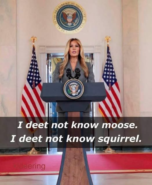 elseagee 🟧 🌊 🌊 🌊🎨 🎸 tweet media