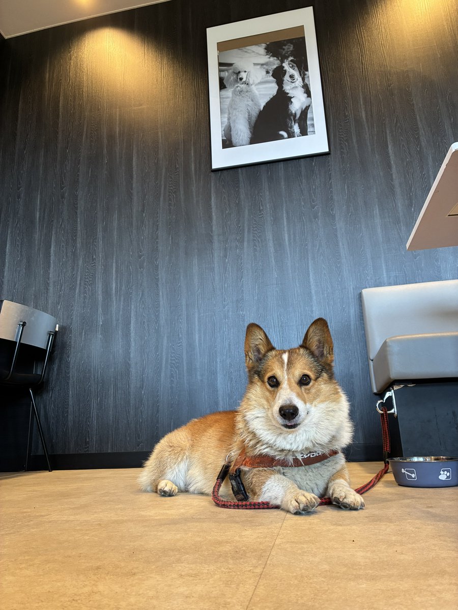 agent-s＠未開の地民社畜族 tweet media