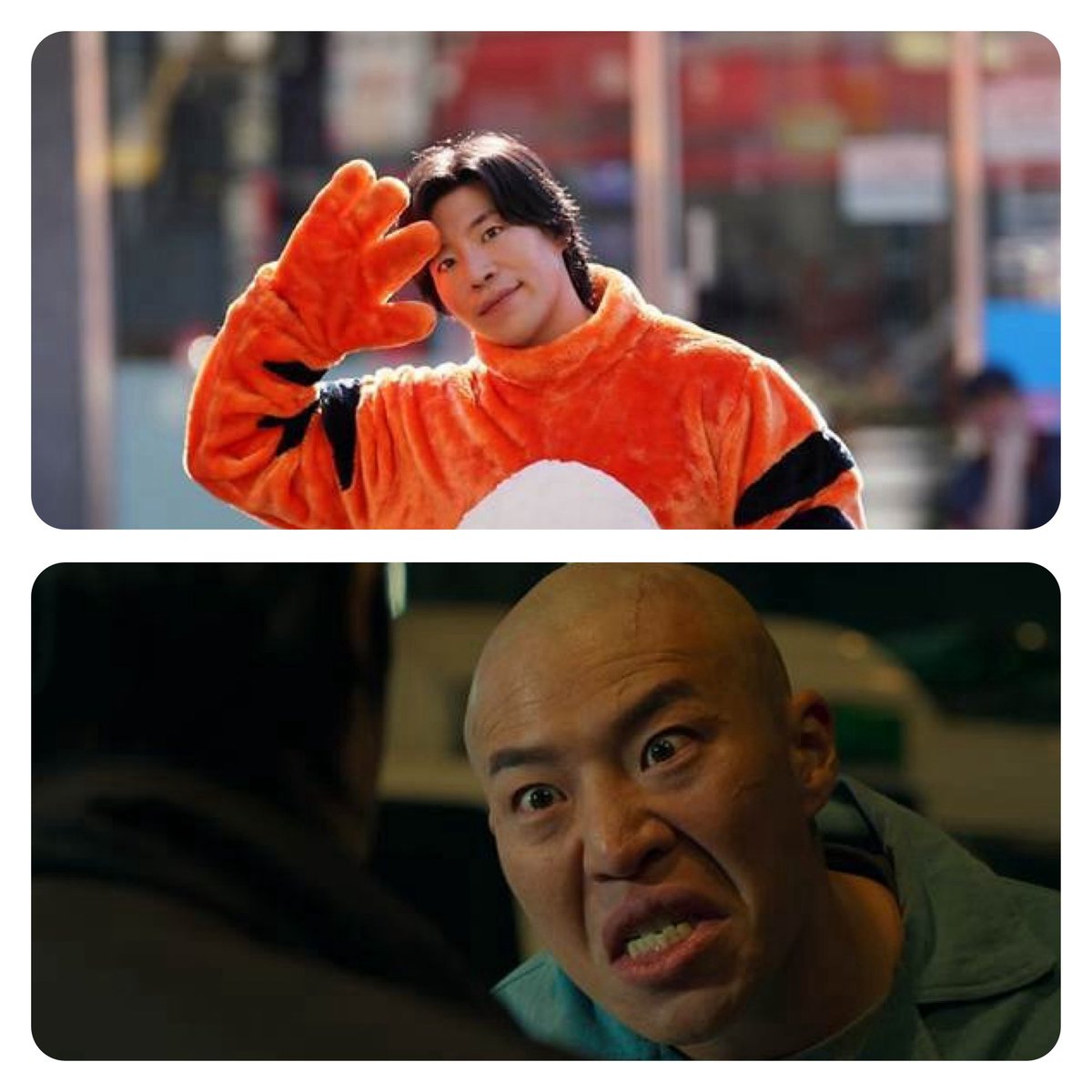 TeslaZoa tweet media